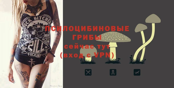 герыч Арсеньев