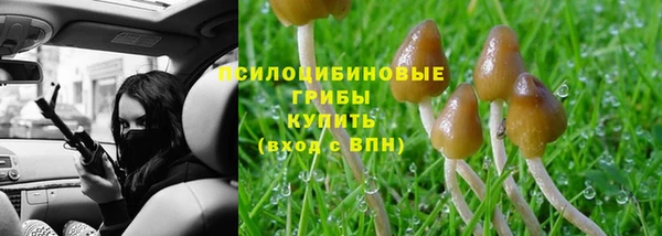 тгк Аркадак